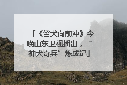《警犬向前冲》今晚山东卫视播出，“神犬奇兵”炼成记