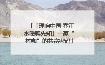 「理响中国·春江水暖鸭先知」一家“村咖”的共富密码