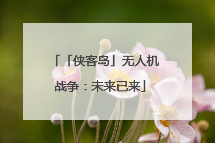 「侠客岛」无人机战争：未来已来