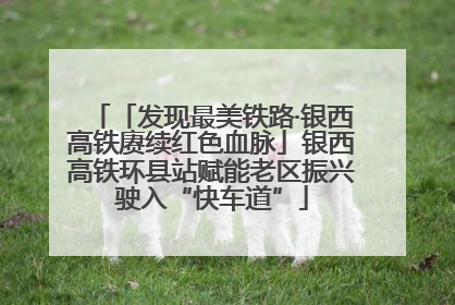 「发现最美铁路·银西高铁赓续红色血脉」银西高铁环县站赋能老区振兴驶入“快车道”