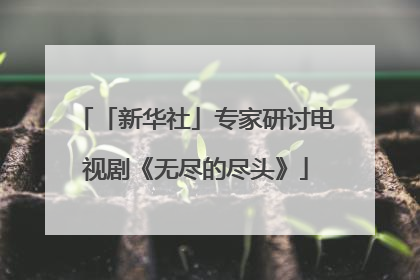 「新华社」专家研讨电视剧《无尽的尽头》