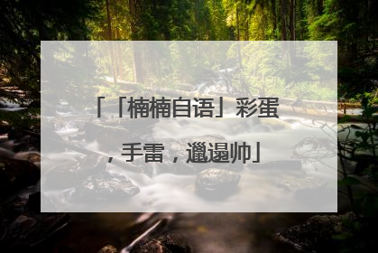 「楠楠自语」彩蛋，手雷，邋遢帅