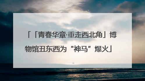 「青春华章·重走西北角」博物馆丑东西为“神马”爆火