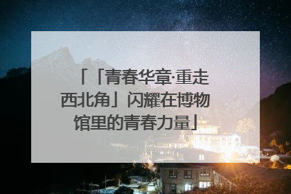 「青春华章·重走西北角」闪耀在博物馆里的青春力量