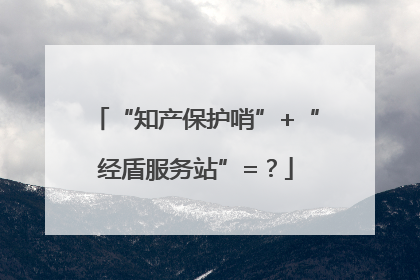 “知产保护哨”+“经盾服务站”=？