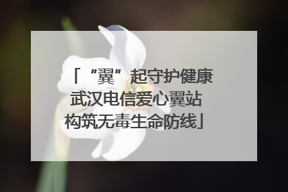 “翼”起守护健康 武汉电信爱心翼站构筑无毒生命防线