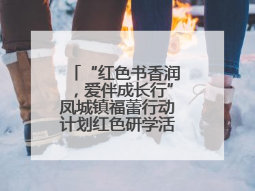 “红色书香润，爱伴成长行”凤城镇福蕾行动计划红色研学活动圆满结束