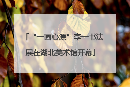 “一画心源”李一书法展在湖北美术馆开幕