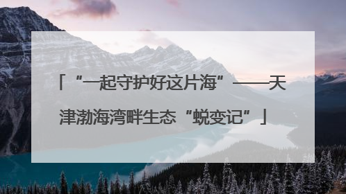 “一起守护好这片海”——天津渤海湾畔生态“蜕变记”