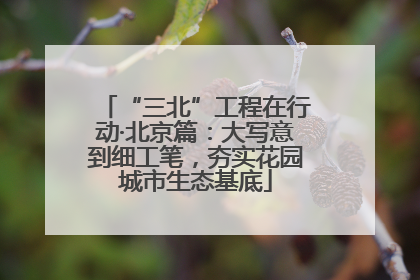 “三北”工程在行动·北京篇：大写意到细工笔，夯实花园城市生态基底