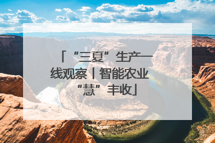“三夏”生产一线观察丨智能农业“慧”丰收