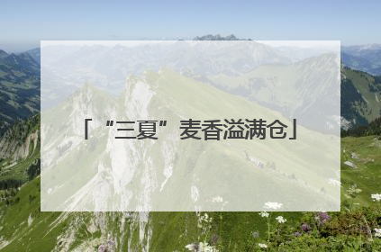 “三夏”麦香溢满仓