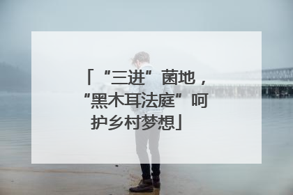 “三进”菌地，“黑木耳法庭”呵护乡村梦想