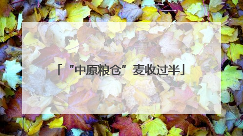 “中原粮仓”麦收过半