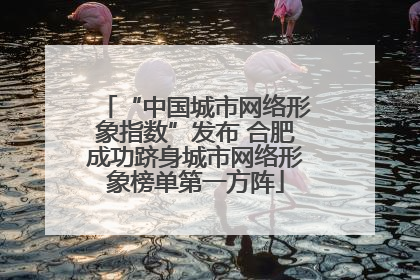 “中国城市网络形象指数”发布 合肥成功跻身城市网络形象榜单第一方阵
