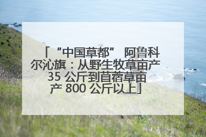 “中国草都” 阿鲁科尔沁旗：从野生牧草亩产 35 公斤到苜蓿草亩产 800 公斤以上