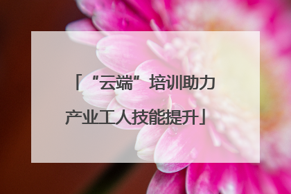 “云端”培训助力产业工人技能提升