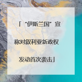 “伊斯兰国”宣称对叙利亚新政权发动首次袭击