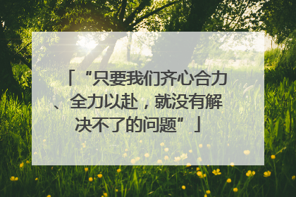 “只要我们齐心合力、全力以赴，就没有解决不了的问题”