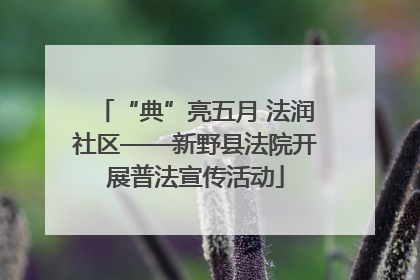 “典”亮五月 法润社区——新野县法院开展普法宣传活动