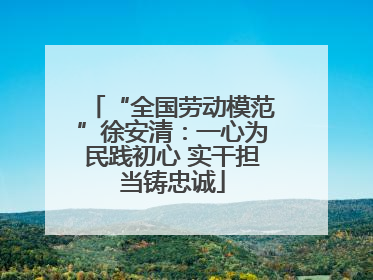 “全国劳动模范”徐安清：一心为民践初心 实干担当铸忠诚