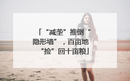 “减垄”推倒“隐形墙”，百亩地“捡”回十亩粮