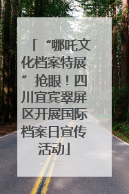 “哪吒文化档案特展”抢眼！四川宜宾翠屏区开展国际档案日宣传活动