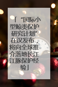 “国际小型鲸类保护研究计划”在汉发布，将向全球推介落地长江江豚保护经验
