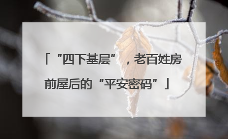 “四下基层”，老百姓房前屋后的“平安密码”