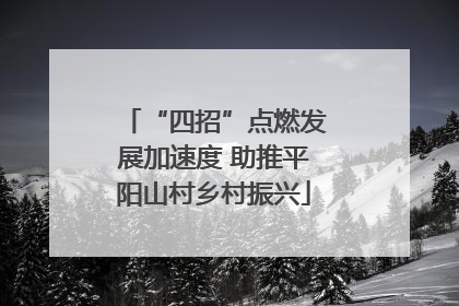 “四招”点燃发展加速度 助推平阳山村乡村振兴