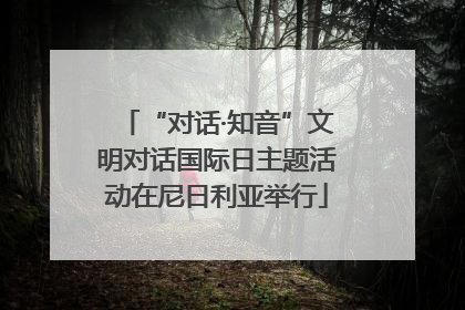 “对话·知音”文明对话国际日主题活动在尼日利亚举行