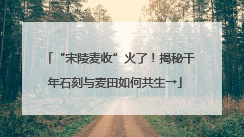 “宋陵麦收”火了！揭秘千年石刻与麦田如何共生→