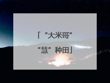 “大米哥”“慧”种田