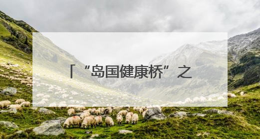 “岛国健康桥”之太平洋岛国齐鲁行活动在山东举办