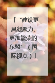 “建设更具凝聚力、更加繁荣的东盟”（国际视点）