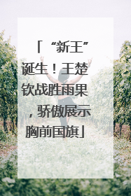 “新王”诞生！王楚钦战胜雨果，骄傲展示胸前国旗