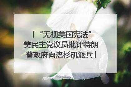 “无视美国宪法” 美民主党议员批评特朗普政府向洛杉矶派兵