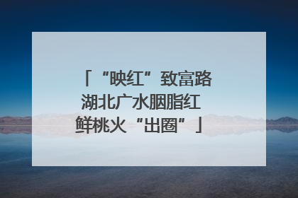 “映红”致富路 湖北广水胭脂红鲜桃火“出圈”