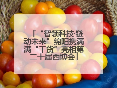 “智领科技·链动未来”绵阳携满满“干货”亮相第二十届西博会
