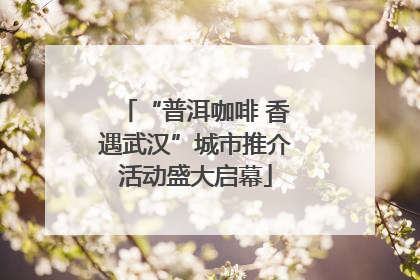 “普洱咖啡 香遇武汉”城市推介活动盛大启幕