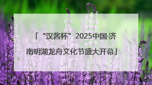 “汉酱杯”2025中国·济南明湖龙舟文化节盛大开幕