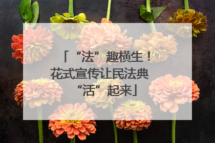 “法”趣横生！花式宣传让民法典“活”起来
