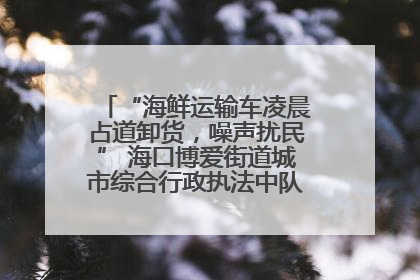 “海鲜运输车凌晨占道卸货，噪声扰民” 海口博爱街道城市综合行政执法中队：将联合交警加强长堤路一带巡逻