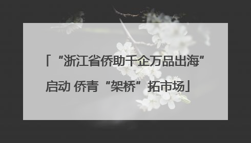 “浙江省侨助千企万品出海”启动 侨青“架桥”拓市场