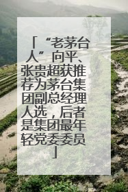 “老茅台人”向平、张贵超获推荐为茅台集团副总经理人选，后者是集团最年轻党委委员