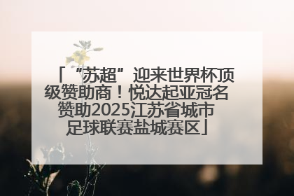 “苏超”迎来世界杯顶级赞助商！悦达起亚冠名赞助2025江苏省城市足球联赛盐城赛区
