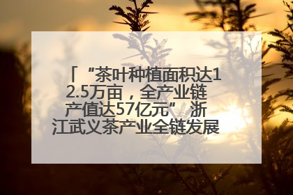 “茶叶种植面积达12.5万亩，全产业链产值达57亿元” 浙江武义茶产业全链发展“加速度”