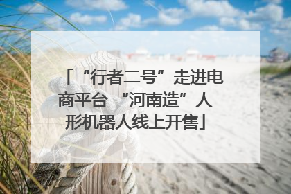 “行者二号”走进电商平台 “河南造”人形机器人线上开售