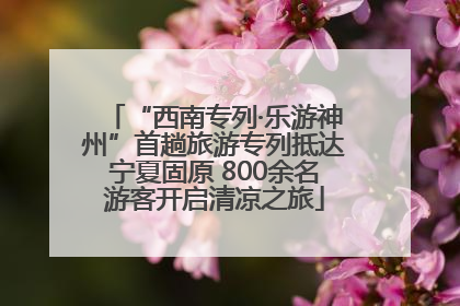 “西南专列·乐游神州”首趟旅游专列抵达宁夏固原 800余名游客开启清凉之旅