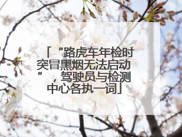 “路虎车年检时突冒黑烟无法启动”，驾驶员与检测中心各执一词